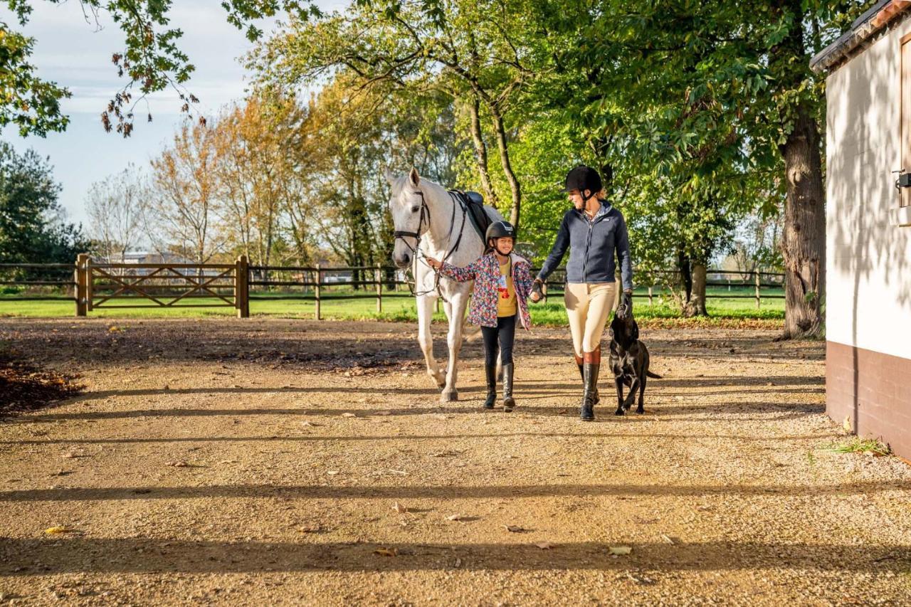Equilodge 'T Blommeke - Reconnect With Nature Brugge Dış mekan fotoğraf