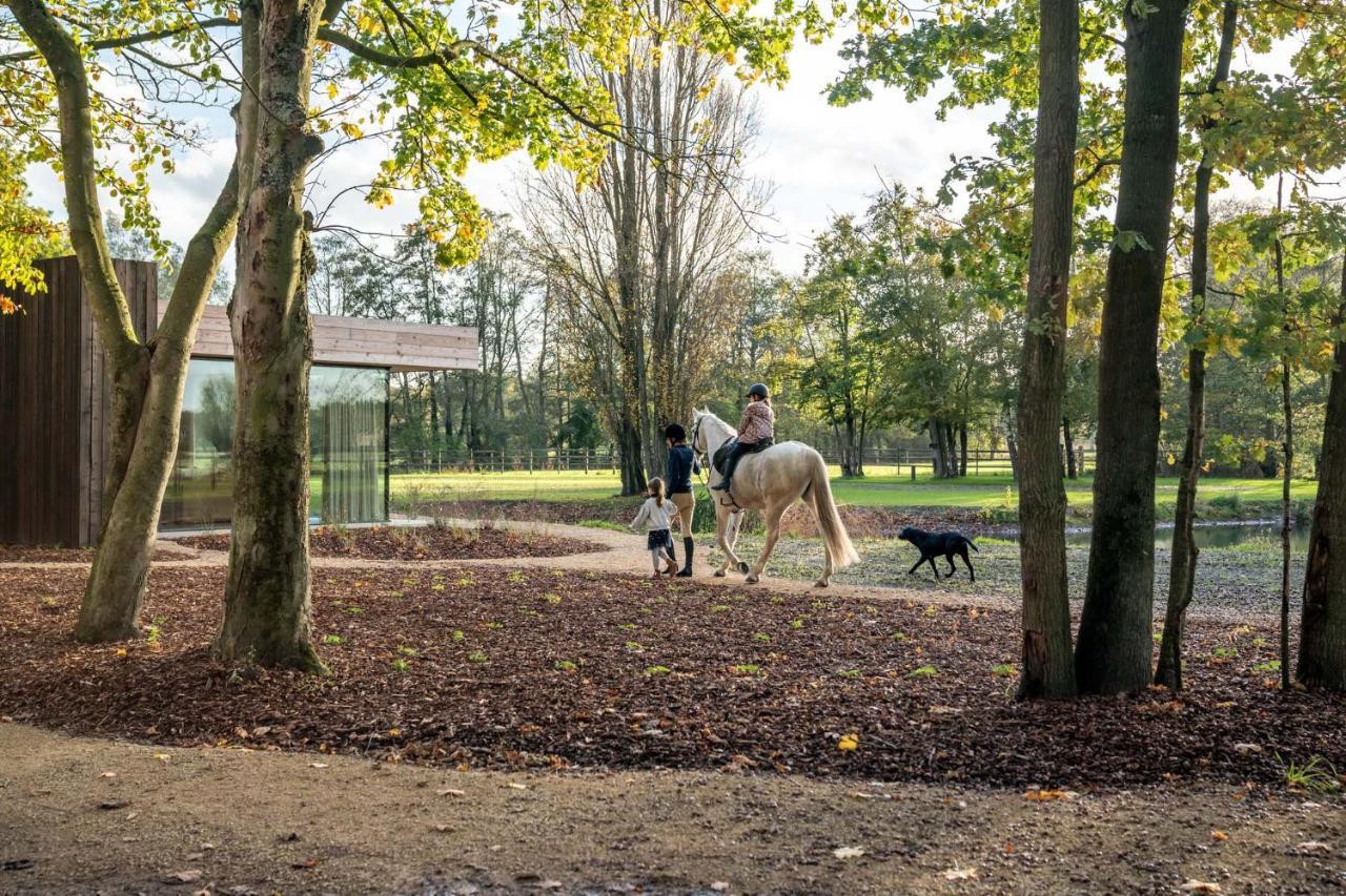 Equilodge 'T Blommeke - Reconnect With Nature Brugge Dış mekan fotoğraf